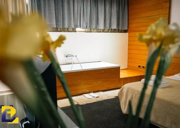 酒店 贝尔蒙酒店 4*