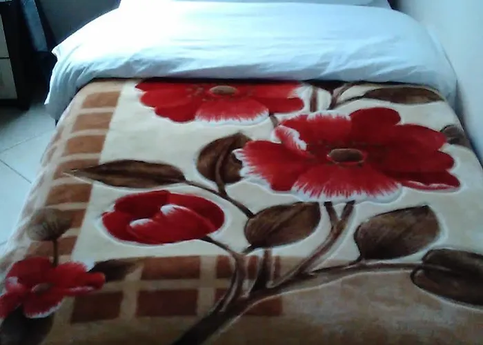 酒店 贝尔蒙酒店 4*