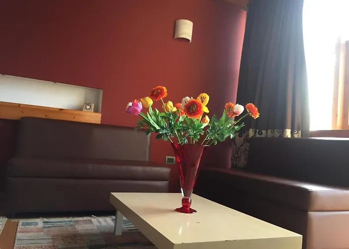 贝尔蒙酒店 酒店 地拉那